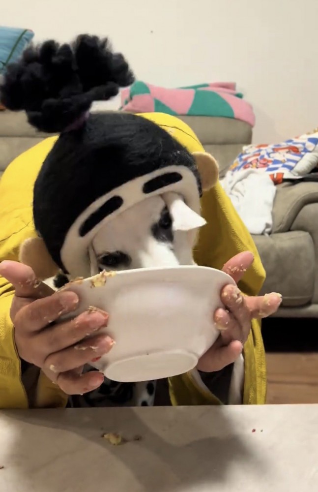 器の中を舐め続ける犬