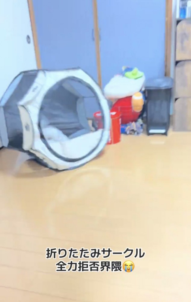 横倒しになったサークル