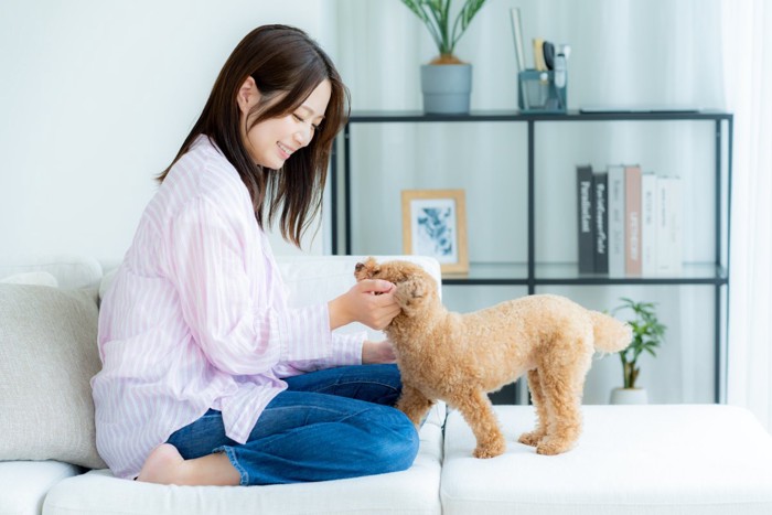 ソファの上でふれ合う女性と犬
