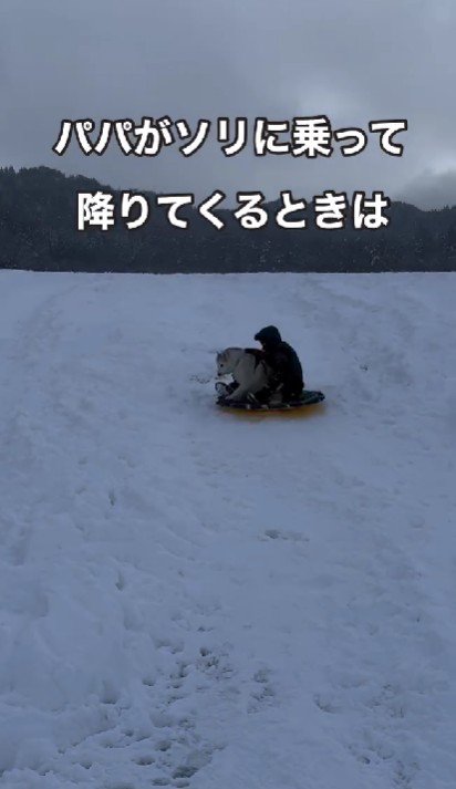 パパと雪滑り！！