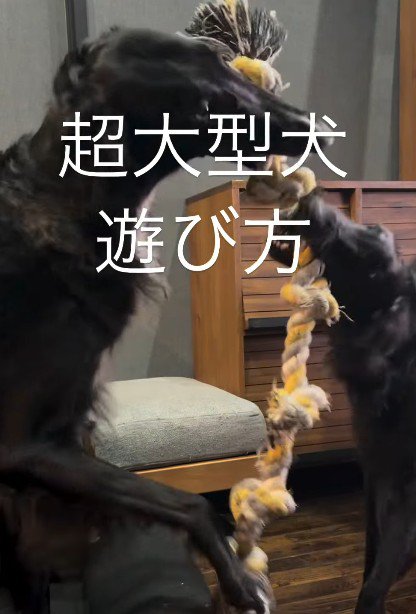 迫力に圧倒されそう…!!