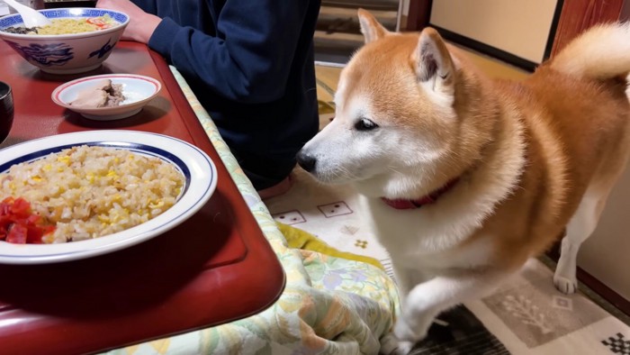 自発的に一芸