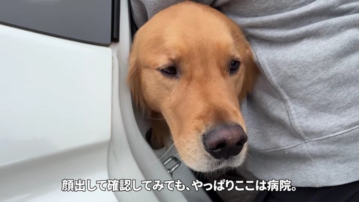 「本当に病院なの?」