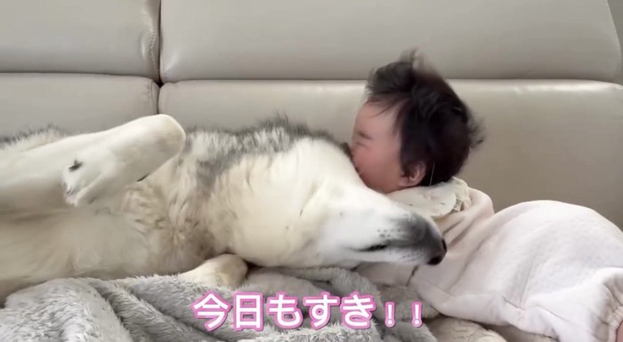 赤ちゃんに顔を寄せる犬