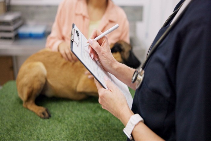 受診する犬