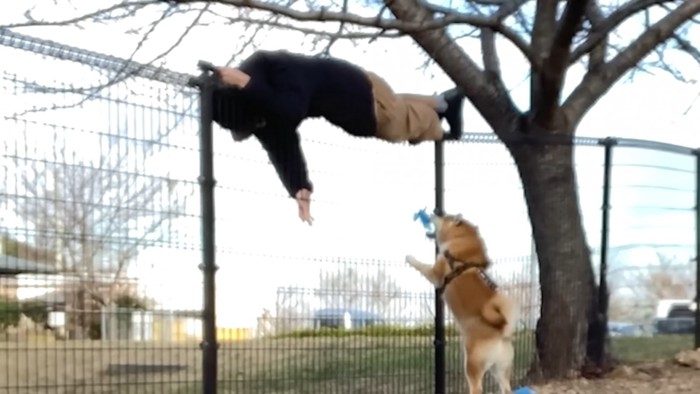 フェンスに登って逃げる飼い主さん