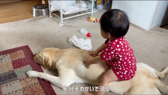 犬の背中に乗って遊ぶ赤ちゃん