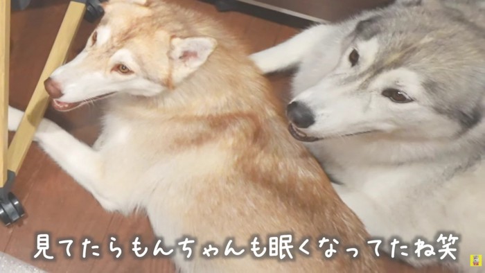 みんなで見守るよ