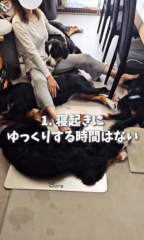 飼い主さんの周りに4姉妹が集合♪