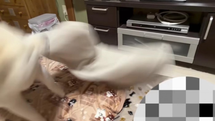 荒ぶるはるちゃん♪