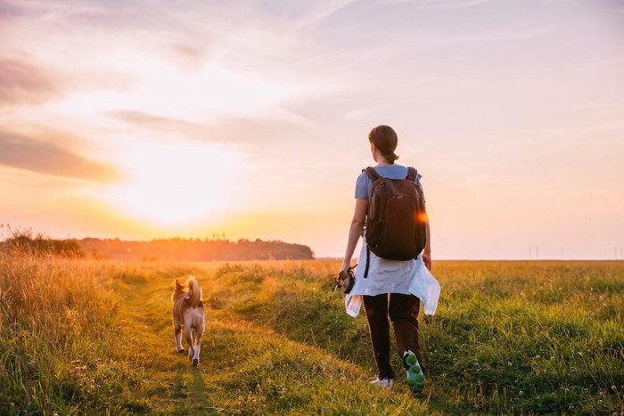 自然の中を歩く女性と犬