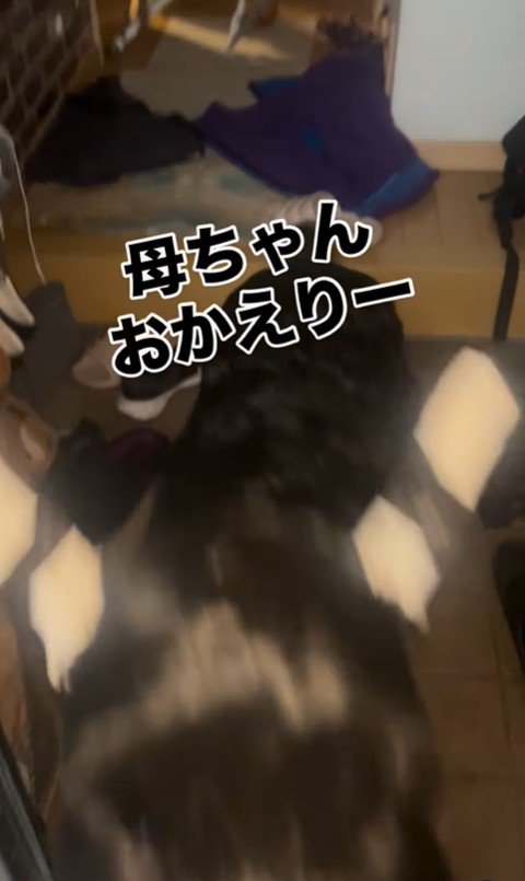 ゲートを破壊したリンツちゃん4