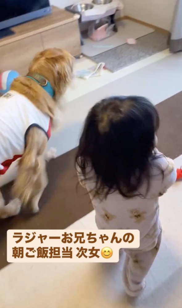 「さぁいきましょう」