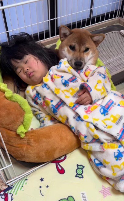 二度寝したい女の子が向かったのは…