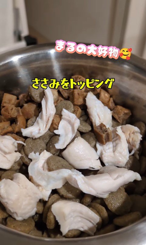 ドッグスクールに行くまる君5
