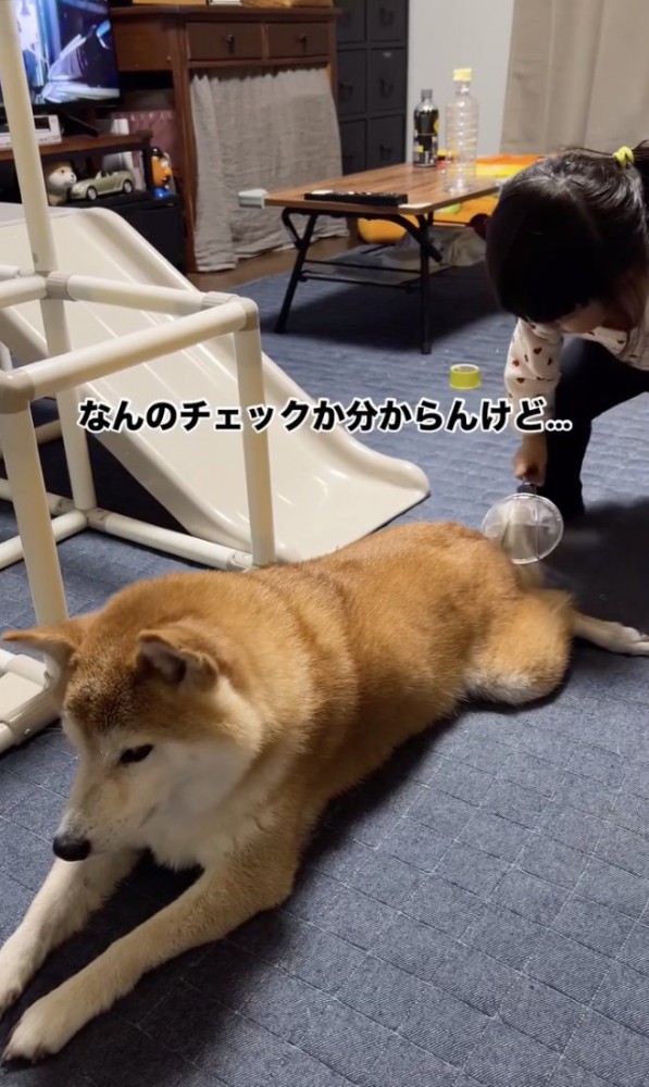より入念に！