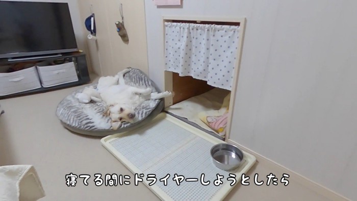 寝ている間に部屋から出たら…