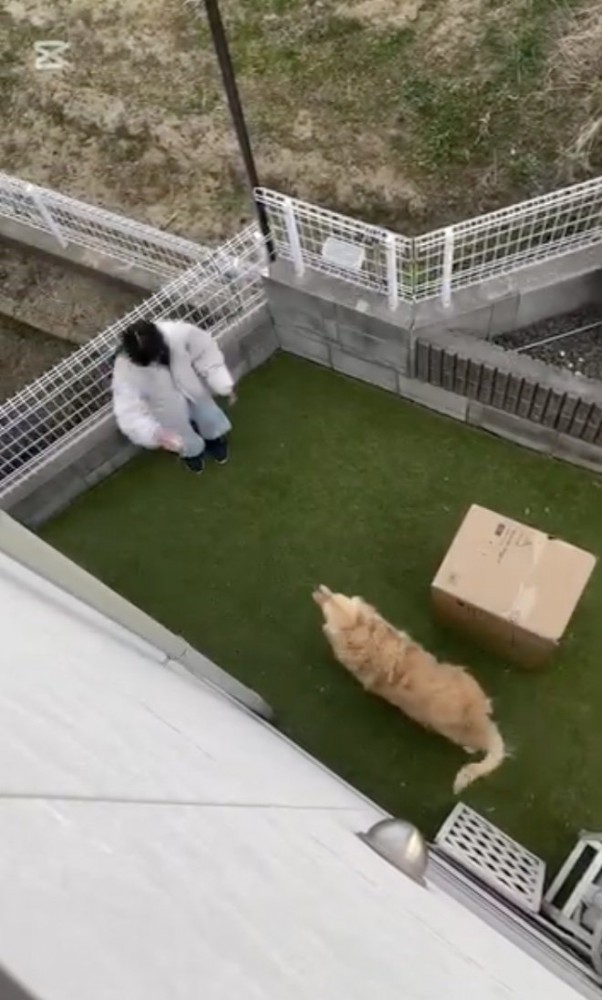 楽しく遊ぶ2人
