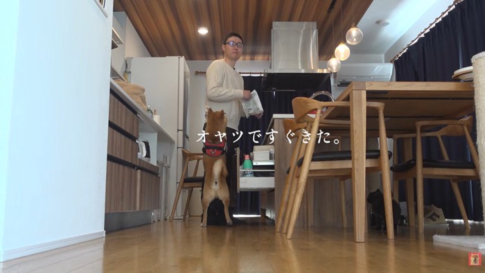 おやつにつられたはちくん