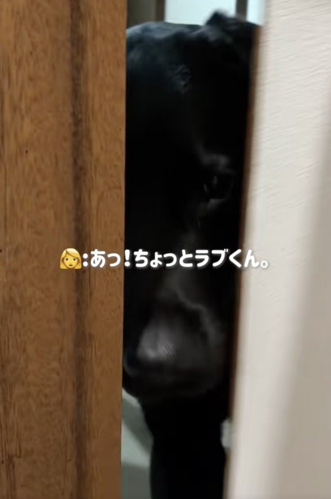 ガリッ！で開けてもらうことに成功