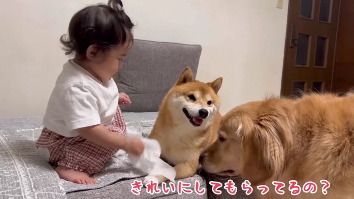 とっても綺麗になったね♡