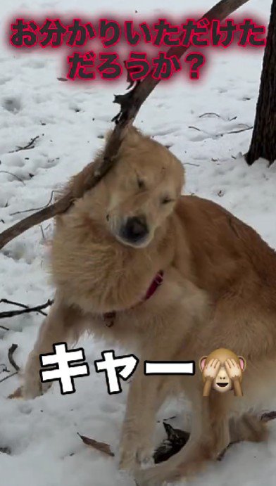 枝が顔面直撃！！