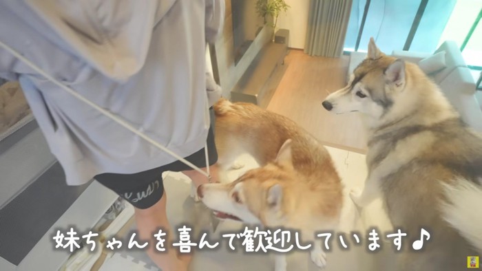「本物の赤ちゃんがいた！」