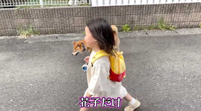 楽しそうに散歩する犬と女の子