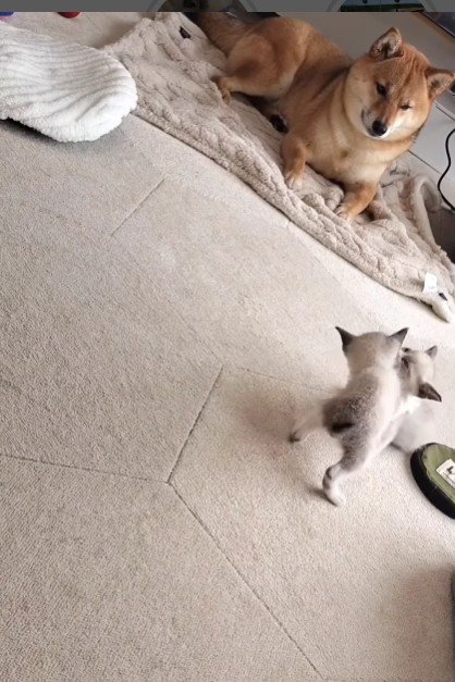 優しく見守る姿は…