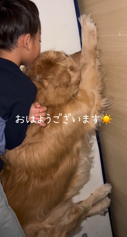 犬と一緒に眠る男の子