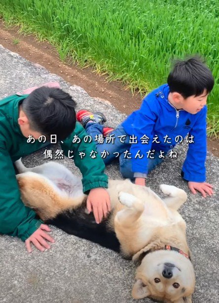今では家族の中心的存在に