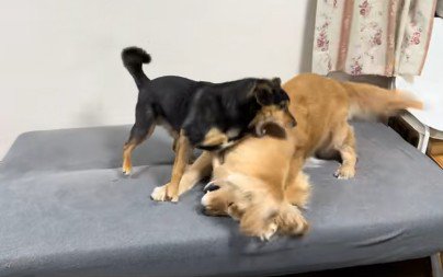 両者の力が互角に!!