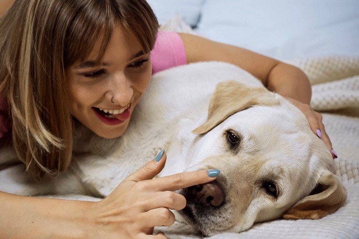 鼻を女性に遊ばれる犬