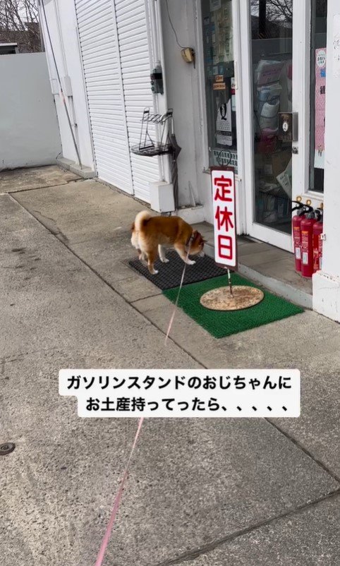 ガソリンスタンドを訪れたハナちゃん9