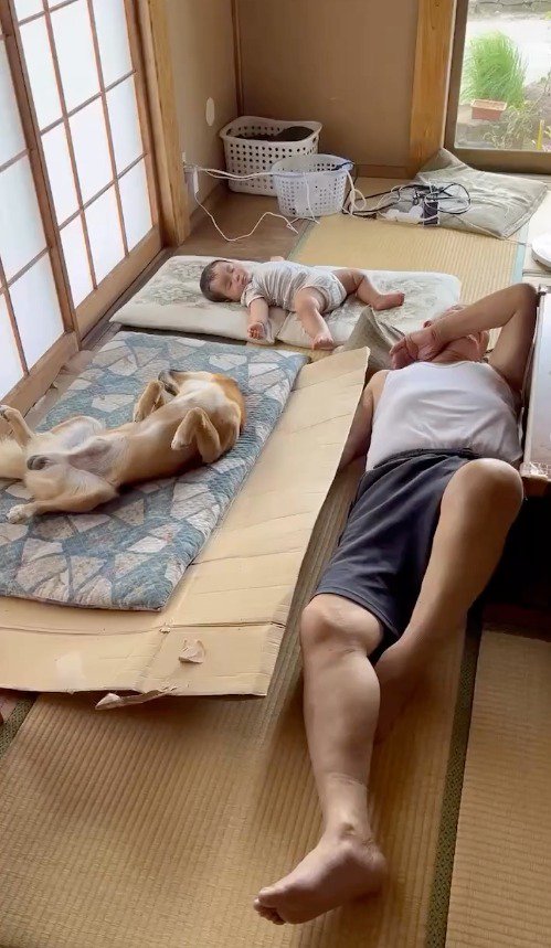 昼寝をする犬と男性と赤ちゃん