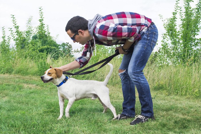 散歩中に飼い主に褒められている犬