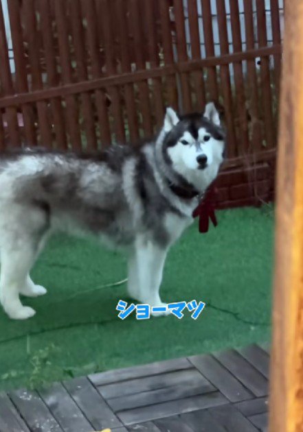 「なんで？」