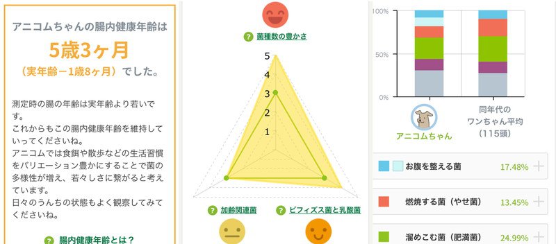 測定結果