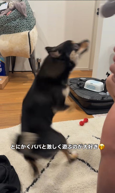 ラムくんの変化7