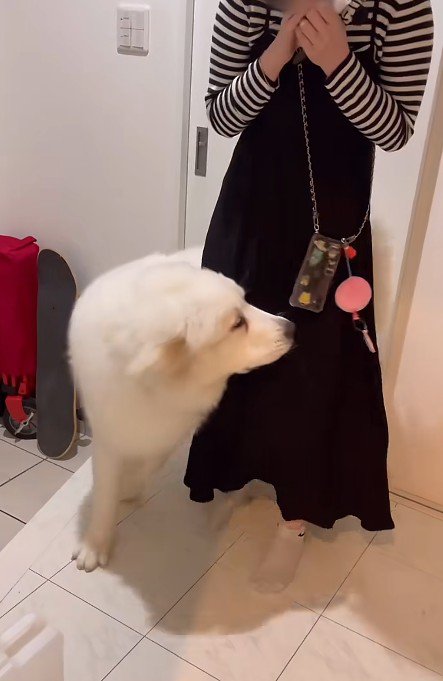 部屋に入ると…