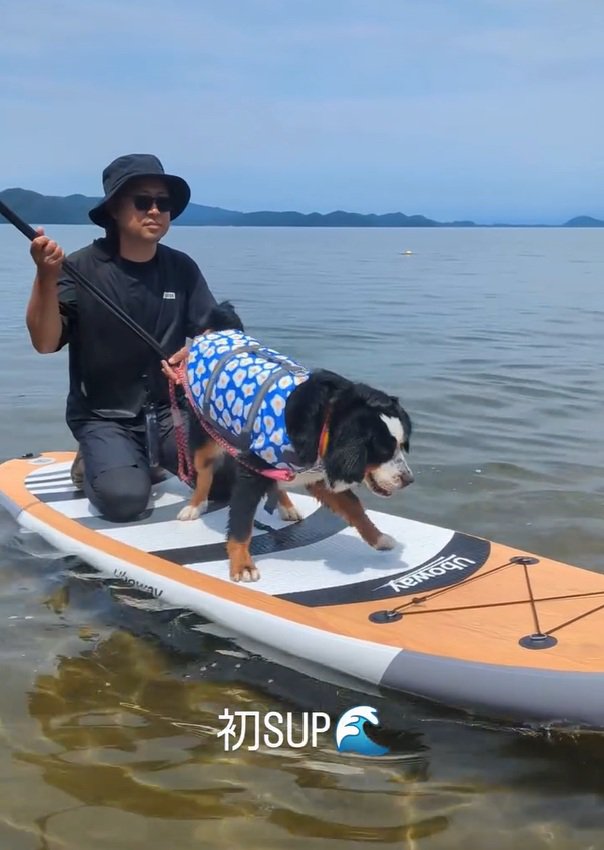 SUPに乗るベルちゃん