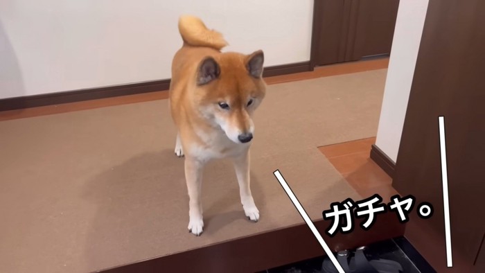 お母さんが来たら…