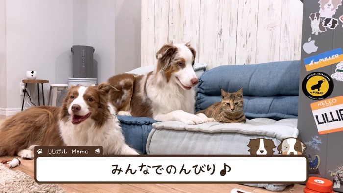 みんなでゆっくりひとやすみ