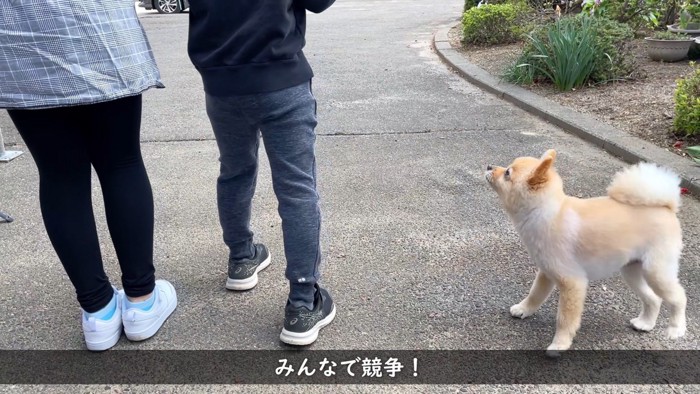 よーい、スタート!