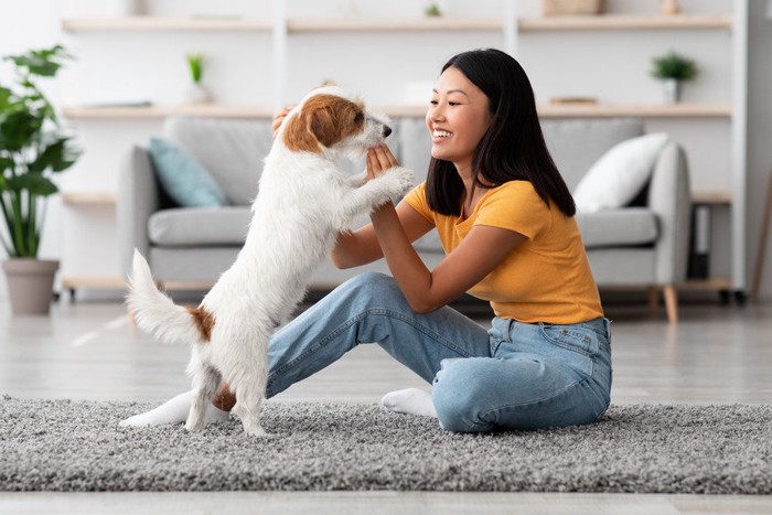 室内で飼い主と遊ぶ犬
