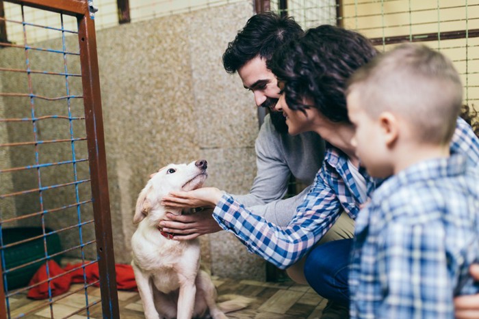 子連れ家族と対面するシェルターの犬