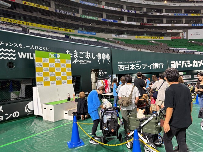 ソフトバンクホークスのフォトスポット