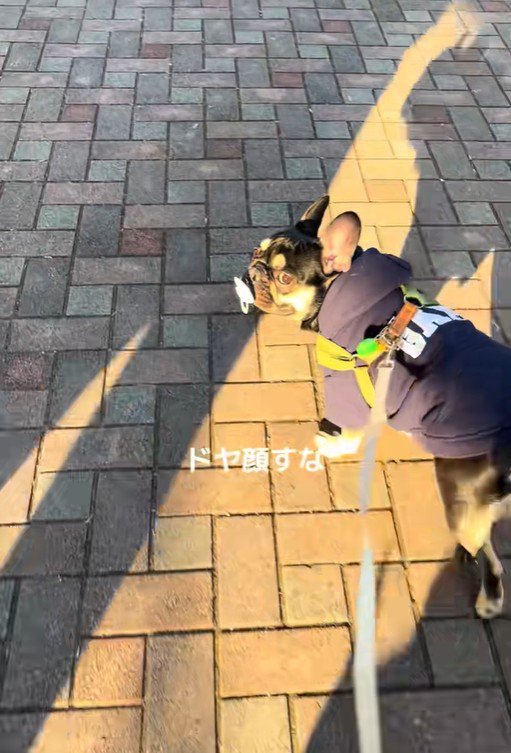 おしゃぶりを拾ったととまる君6