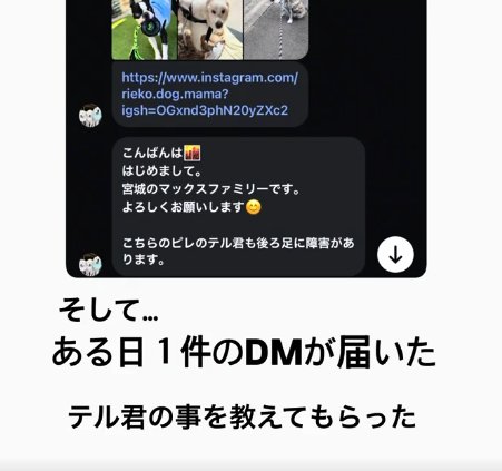 DM