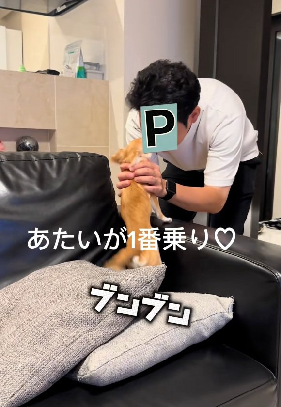 パパとの再会を喜ぶチャイちゃん